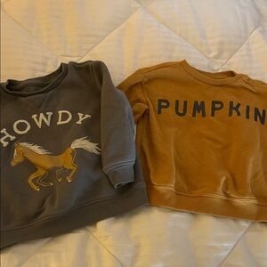 Kids Graphic Sweatshirts - Gray and Tan